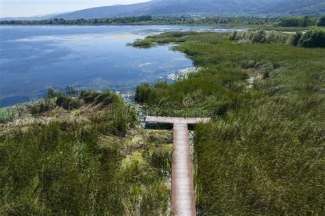 SAPANCA LAKE in SAPANCA, SAKARYA, TURKEY. Stock Image - Image of jungle ...