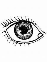 Eyes coloring Pages sketch template