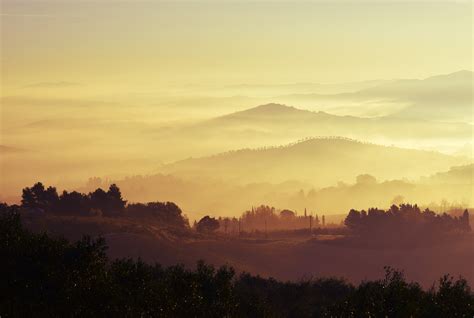 Landscape Mountain Range Trees Woodland Forest Mist Fog 5k Wallpaper,HD Nature Wallpapers,4k ...