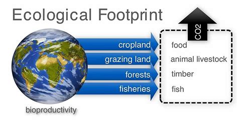 Countries With The Largest Ecological Footprints - WorldAtlas