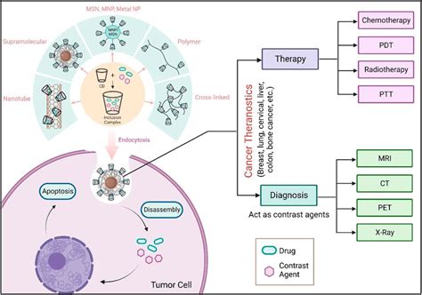 Frontiers | Cyclodextrin nanoparticles in targeted cancer theranostics