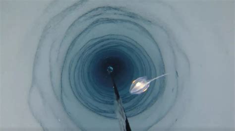 Scientists discover strange, mysterious creatures beneath Antarctic ice