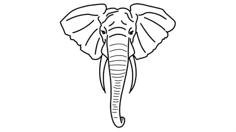 Big Elephant Head Face Draw | Drawing of Elephant | How To Draw Animals ...