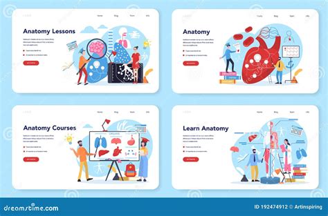 Anatomy School Subject Web Banner or Landing Page Set. Internal Stock ...