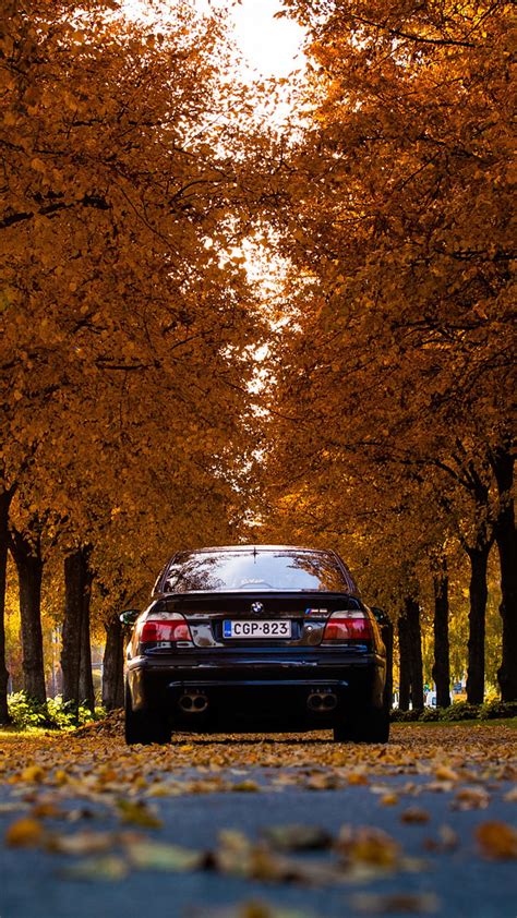 Bmw m5, e39, october, HD phone wallpaper | Peakpx