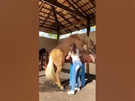 جفت گیری اسب Horse mating لطفا مشترک شوید - YouTube