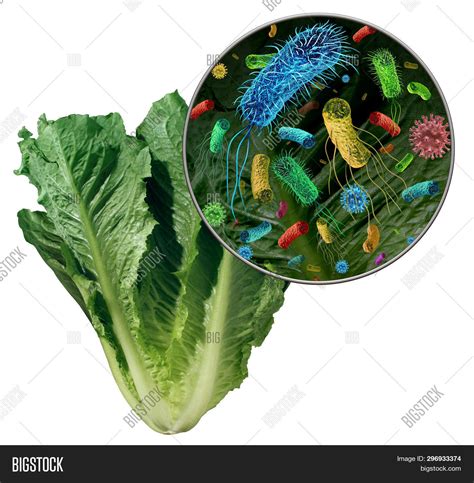 Bacteria Germs On Image & Photo (Free Trial) | Bigstock