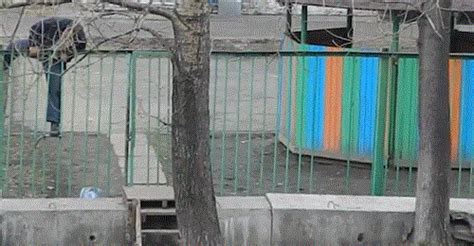 Fence GIF - Find & Share on GIPHY