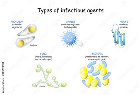 pathogen. infection from prions and viruses, to bacteria, fungi and ...