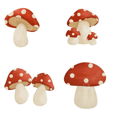 380 000 Cartoon Cute Mushroom Png Images Free Cartoon - vrogue.co