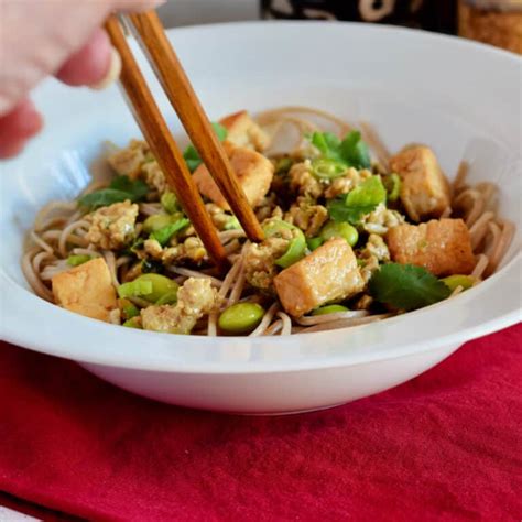 Ma Po Tofu on Soba (Buckwheat) Noodles - LindySez | Recipes