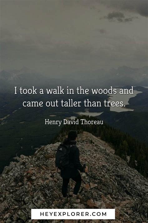 110 Epic Hiking Quotes (With Pics!) For Adventure Lovers