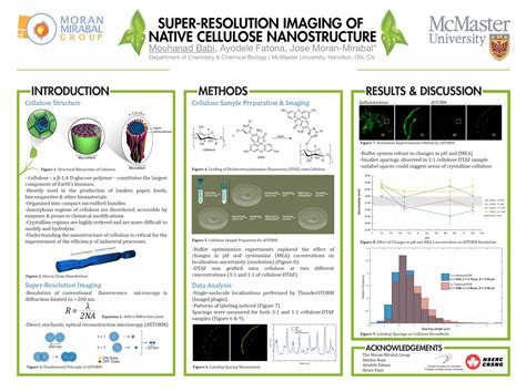 How to Make a Scientific Poster [+ Examples]