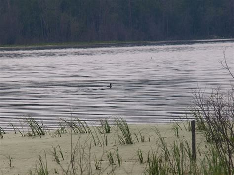 Beaver Lake Cree Nation - Natural Beauty in Alberta | Flickr