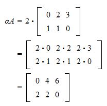 Multiplication of a matrix by a scalar