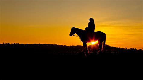 Cowboy Horse Wallpapers - Top Free Cowboy Horse Backgrounds - WallpaperAccess