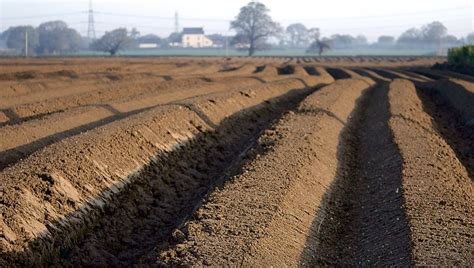 Ridge and Furrow | Flickr - Photo Sharing!