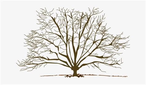 winter tree clip art - Clip Art Library