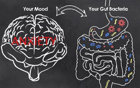 The Anxiety-Gut Connection - Motherhood Community