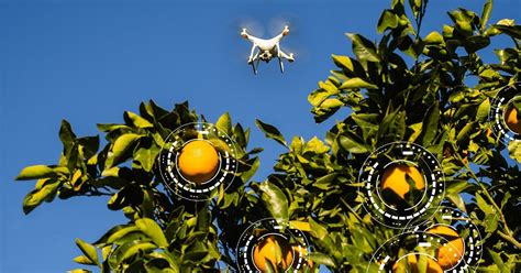 Aerobotics Raises $17M led by Naspers to scale artificial intelligence for agriculture globally