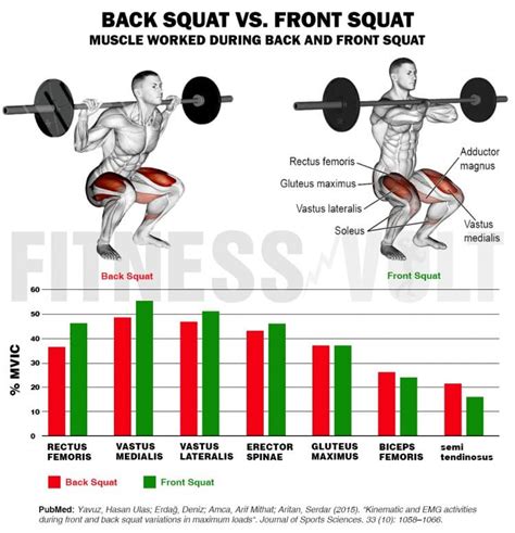 Front Squat vs. Back Squat – Which One Should You Do? – Fitness Volt