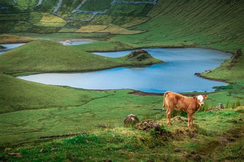 Things to do in Corvo Island, Azores