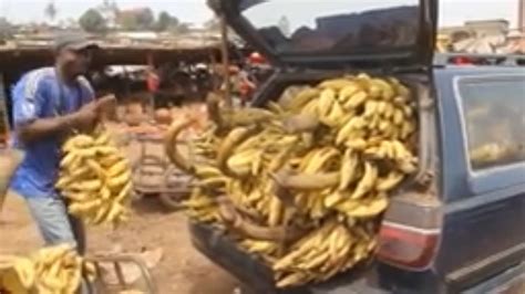 My journey to Bamenda food market | North West Region of Cameroon - YouTube