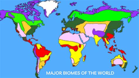 What are the Major Biomes of the World? - Let's Learn