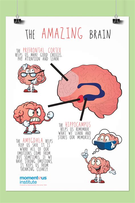 When kids understand how their brain works, they’re better able to self-regulate and unders ...