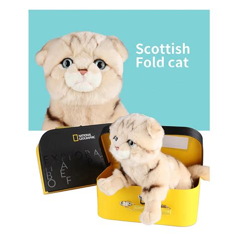 National Geographic Stuffed Cat Toys Lifelike Scottish Fold Cat Plush ...