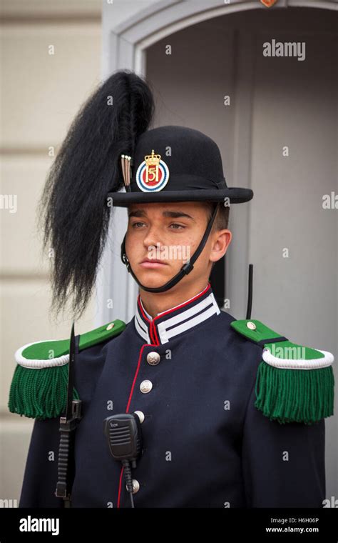 A soldier, one of the King’s guards, outside the Royal Palace, Oslo, Norway Stock Photo - Alamy