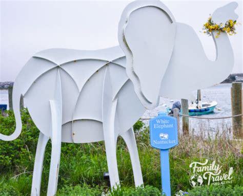 Review of the White Elephant in Nantucket - Family Travel Magazine