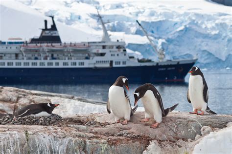 Expedition Cruises | ShermansTravel