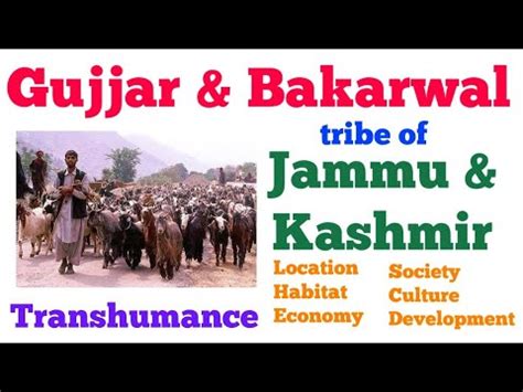 Gujjar & Bakarwal tribe of Jammu & Kashmir | Transhumance | Location ...