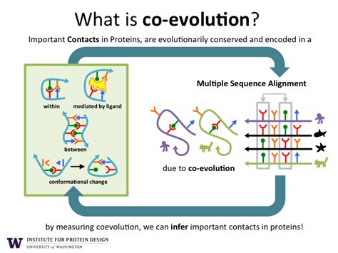 Protein Structure – Institute for Protein Design