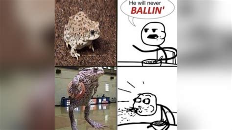 He Will Never Be Ballin' | Know Your Meme