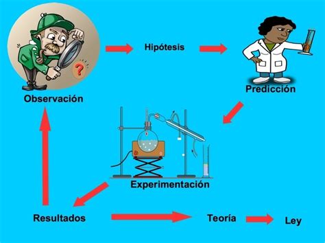 Método científico: qué es, objetivos y pasos - Toda Materia