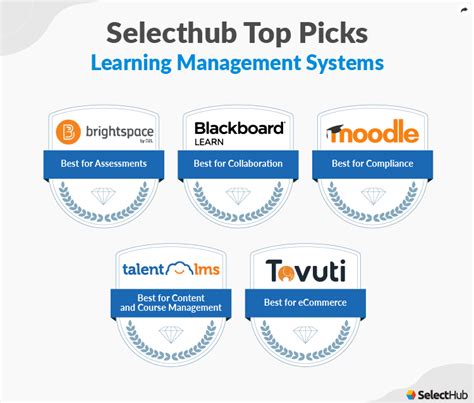 Top Learning Management System (LMS) Examples In 2024