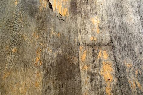 Distressed Wood stock image. Image of splintered, hard - 10544371
