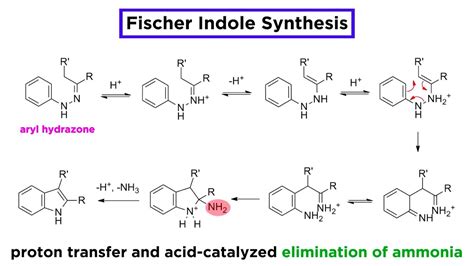 Fischer Indole Synthesis - YouTube