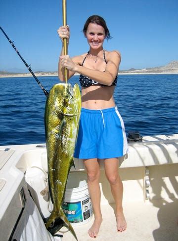 Cabo San Lucas striped marlin fishing rodeo continues on Baja's Golden Gate Bank, Mexico Fishing ...