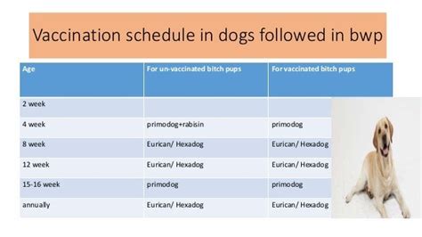 Deworming Schedule For Puppies / Safe - Guard 1GM Canine Dewormer ...