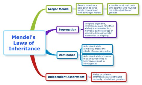 Gregor mendel, Genetics, Genetic inheritance