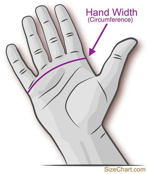 How Do You Measure Your Hand For A Baseball Glove - Images Gloves and Descriptions Nightuplife.Com