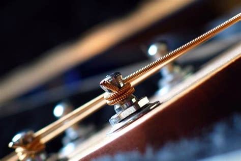 Best 8 String Guitars: How to Find The Right One - Guitar Space