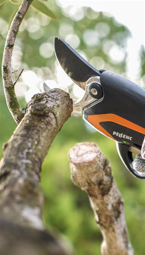 Tree Pruning Shears - C45 - Pellenc USA