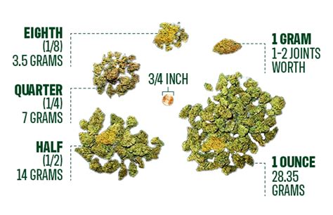 Understanding Cannabis Measurements and Prices: Grams, Eighths, Ounces ...