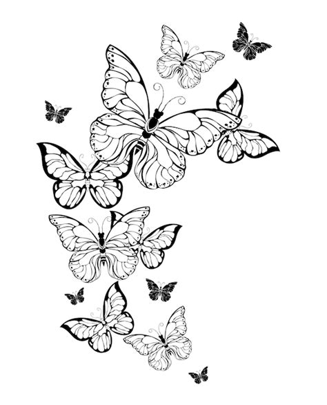 Paper colouring activity Butterfly colouring postcards adult colouring ...