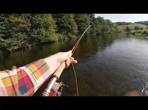 River Tweed Fishing for Salmon - YouTube