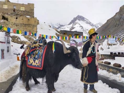 Losar Festival Sikkim 2023, History, Dates, Venue, Attractions, How To ...